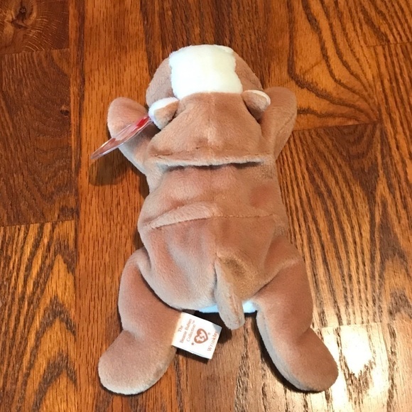𝅺WRINKLES, the baby bulldog Ty beanie baby. NWT‎ - Picture 5 of 8